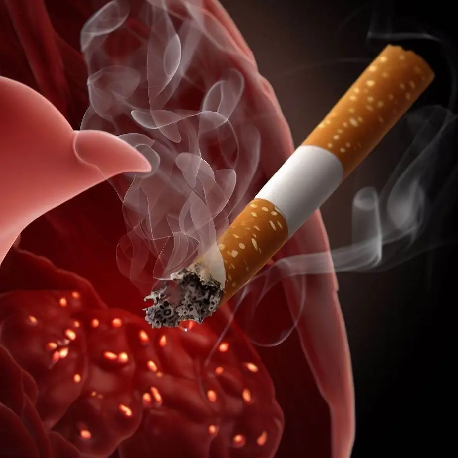 Palenie papierosów a wątroba